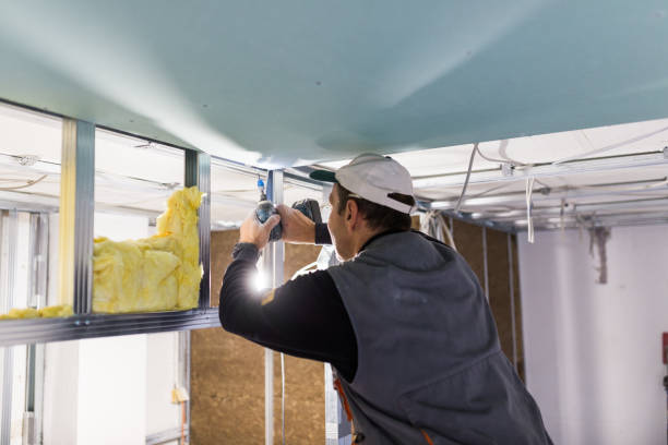 Best Best Insulation Companies  in Spring Grove, IL