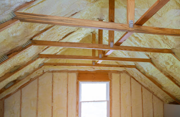 Best Local Insulation Services  in Spring Grove, IL