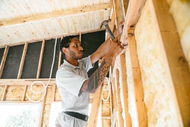Best Wall Insulation Contractor  in Spring Grove, IL