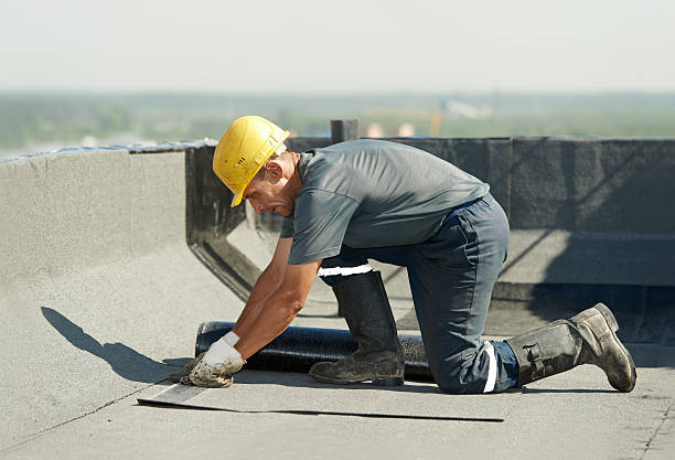 Best Energy-efficient Insulation  in Spring Grove, IL