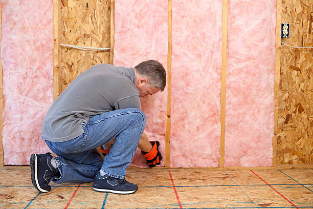 Insulation Inspection Services in Spring Grove, IL